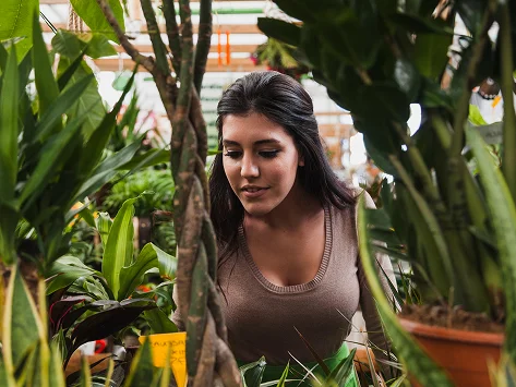 Urban Farming